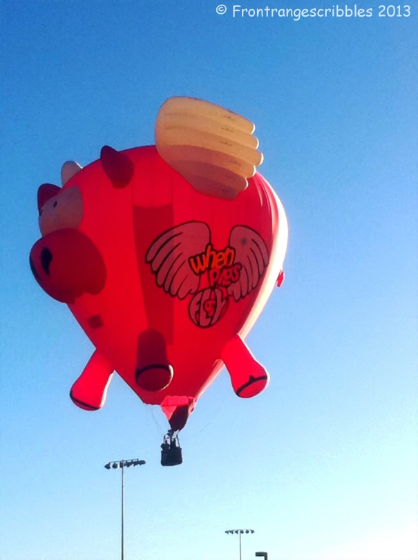 Pig Hot Air Balloon